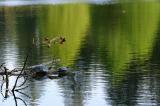 <b>*Just the two of us</b><br/><font size=2>By Ken Rimple