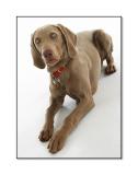 Sophie *<br><b>7th Place</b>
