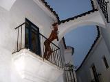 BellaVista *