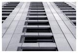 Corporate Ladder *