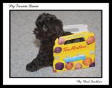 <b>My Favorite Donut*</b><br><i>by Paul Stuckless</i> <br><b>