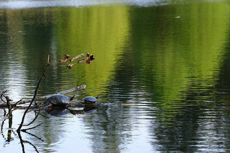 <b>*Just the two of us</b><br/><font size=2>By Ken Rimple