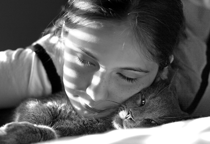 New Cat: In Love with Cosmo