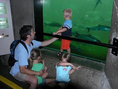 A visit to the Fish Ladder