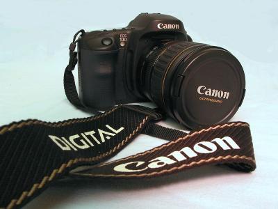 My New Baby