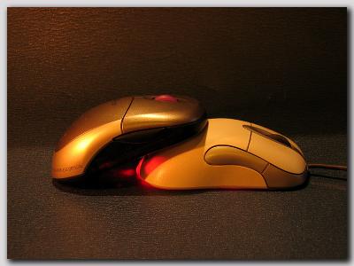 Mice can love too