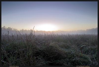 Another Great Morning (*)
