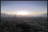 Another Great Morning (*)