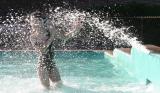 Fountain of Youth