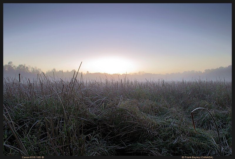 Another Great Morning (*)