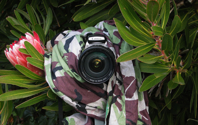 Cameraflauge  *