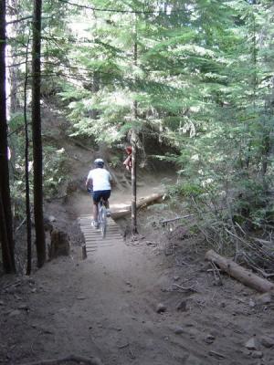 A5139 curt on narrow bridge.jpg