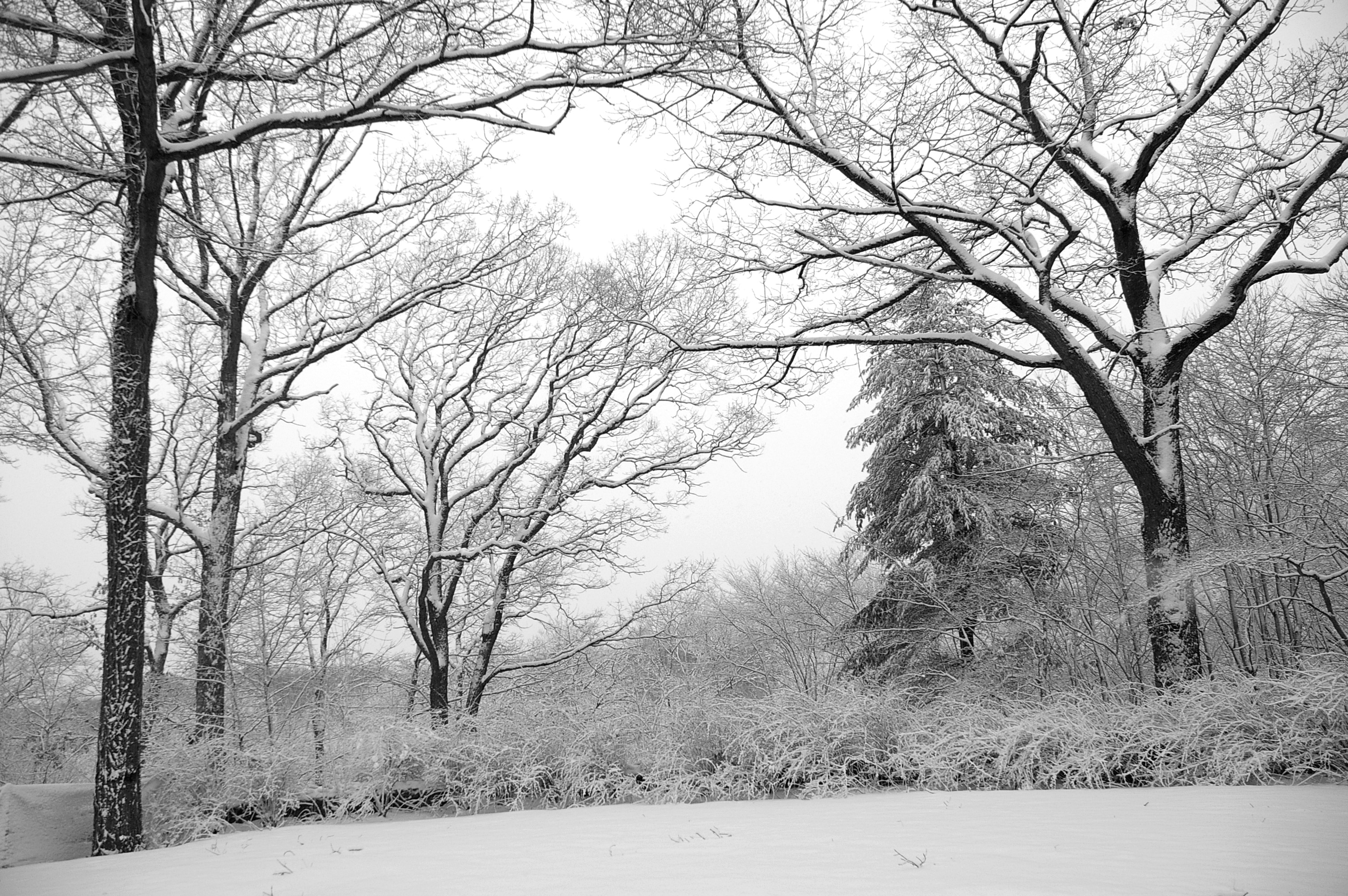 Winter On Wahackme Lane