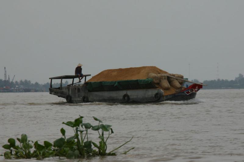 Mekong Delta