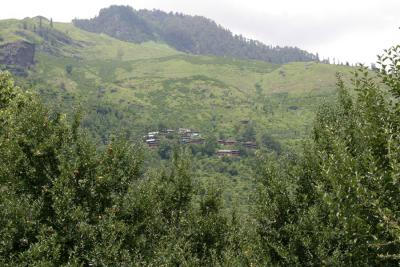 IMG_7458.JPG