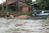Mekong Delta