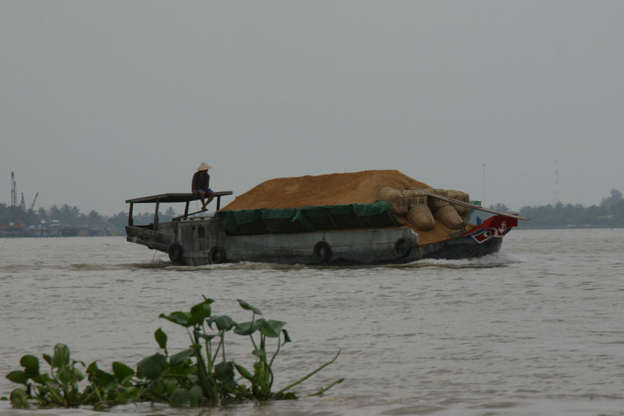 Mekong Delta
