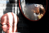 SRT.gif