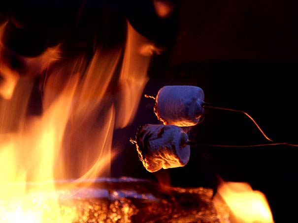 March 23, 2005 - Roasting Marshmallows