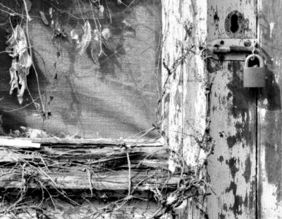 VinesOn Door 100crop.jpg