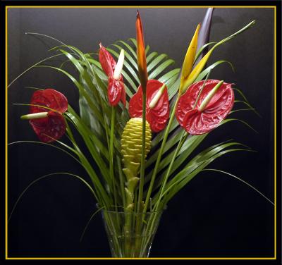 Anthurium_Beehive.jpg