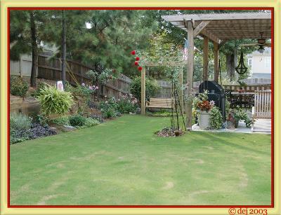 mybackyard.jpg