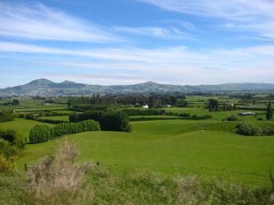 so green in NZ
