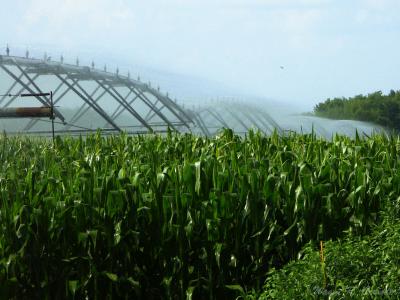 u32/demorcan/medium/31509261.Irrigation.jpg
