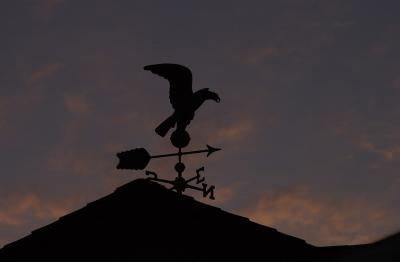 DSC_2556_weathervane.jpg