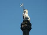 Scottish Blue and White