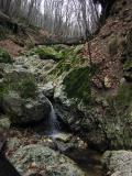 Nature3.jpg