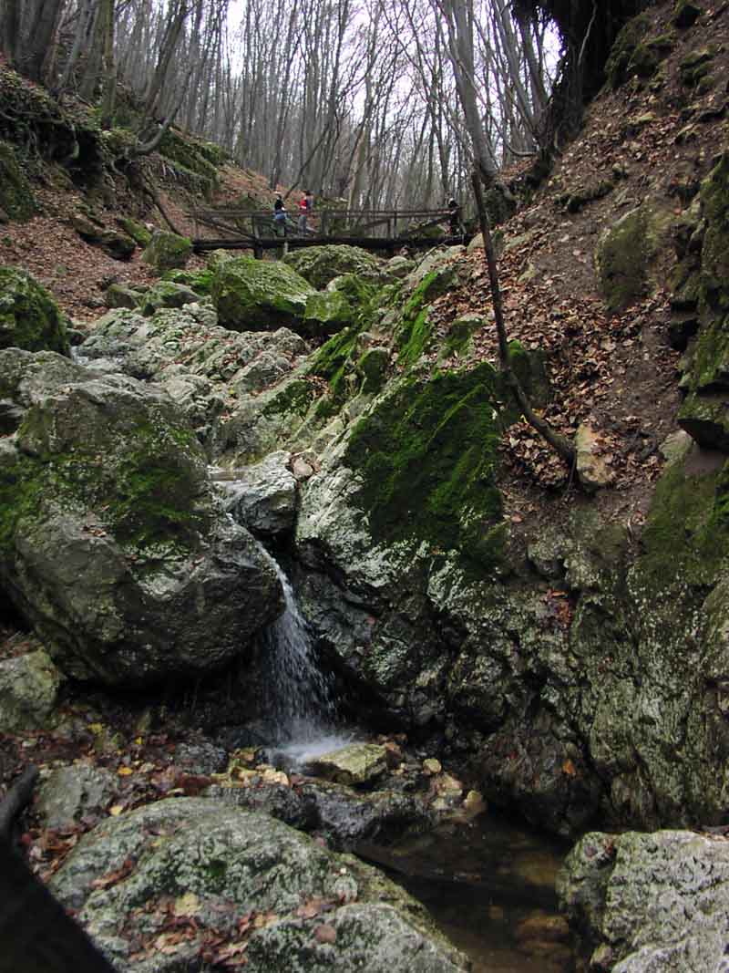 Nature3.jpg
