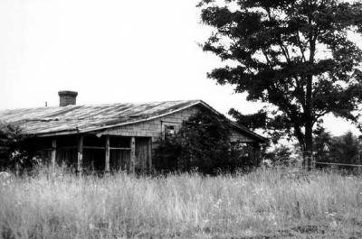 Tobacco shed