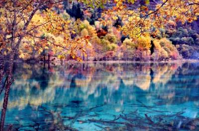  ¤­ªá®ü  Five-Flower Lake