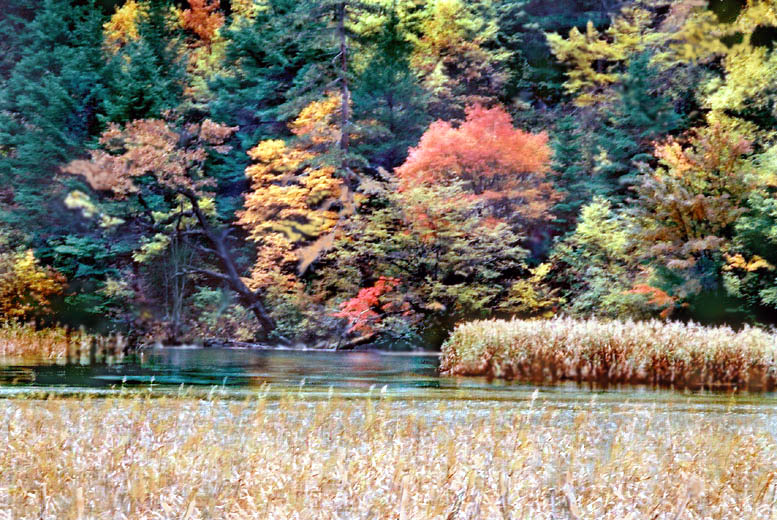 &Auml;&ordf;&cedil;&laquo;&reg;&uuml;