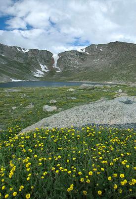 Images From Mt. Evans