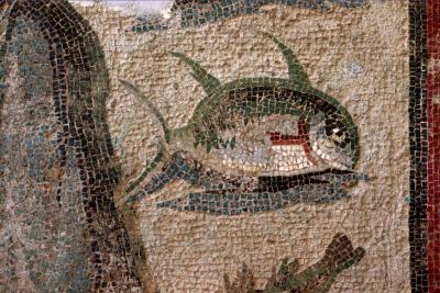 Antakya mosaic Oceanus (detail)