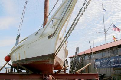 Skipjack
