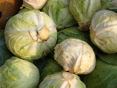 Lotta Cabbage