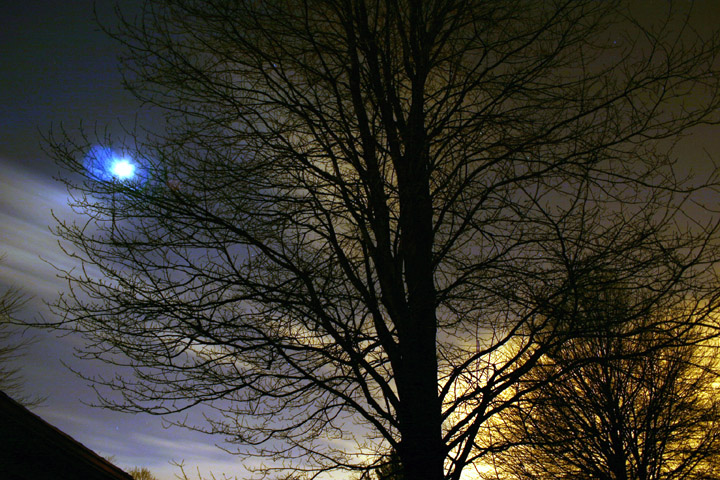 Dons tree.