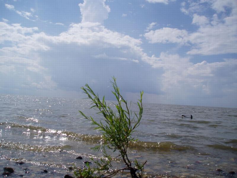 July 11, 2004