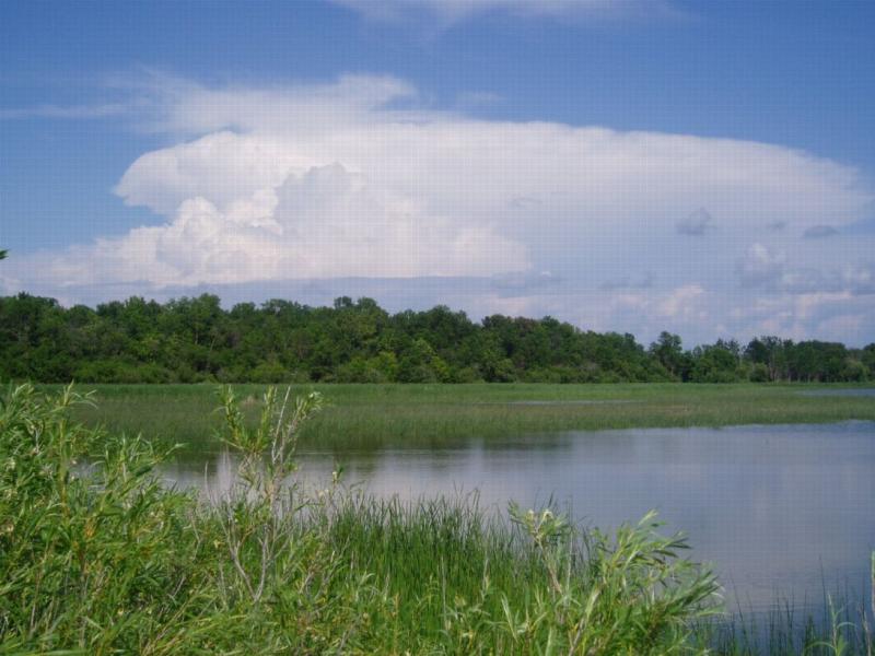 July 16, 2004