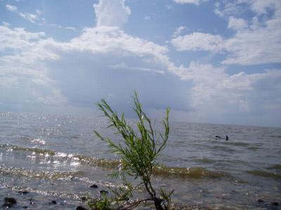 July 11, 2004