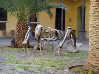 Museo de la Naturaleza y el Hombre