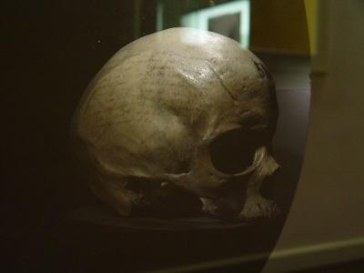 Museo de la Naturaleza y el Hombre