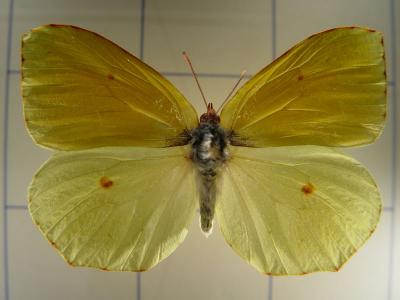 Museo de la Naturaleza y el Hombre