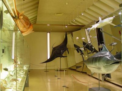 Museo de la Naturaleza y el Hombre