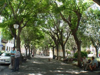 Plaza de la Constitucion