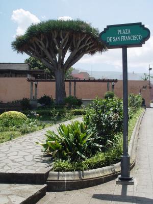 Plaza de San Francisco
