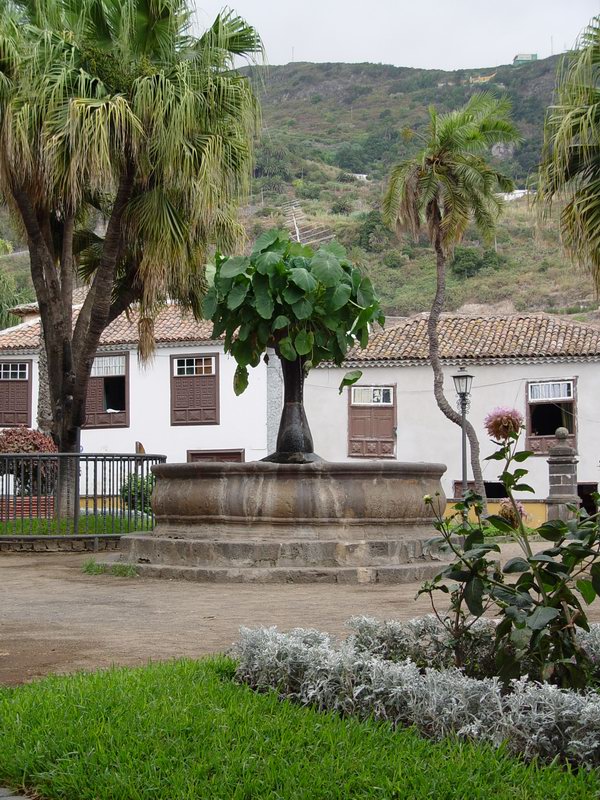 Plaza de la Constitucion